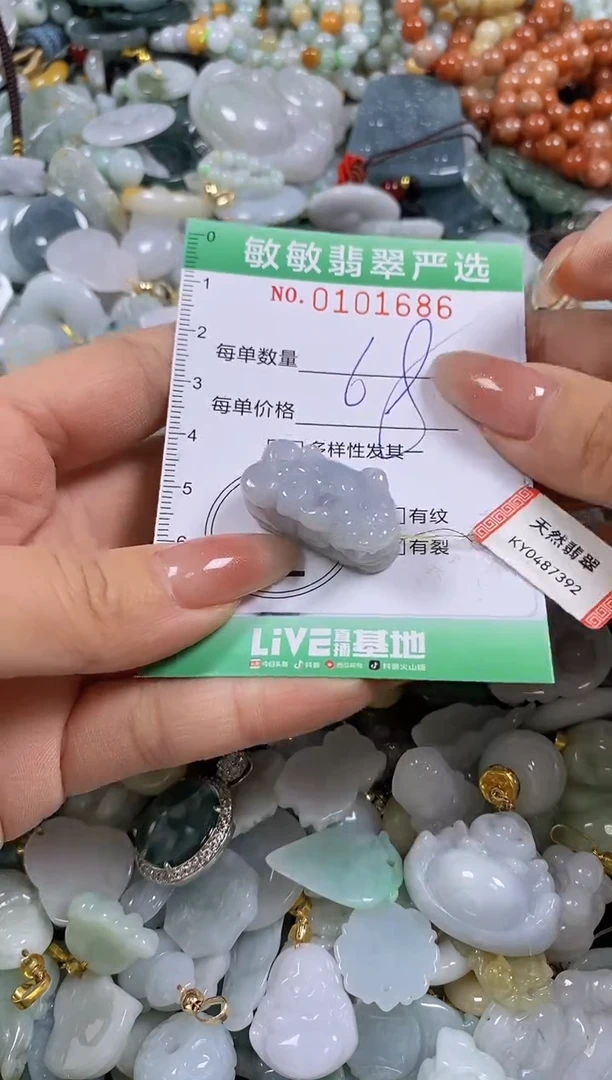 【闪购商品】翡翠颈饰未镶嵌闪购链接0101686