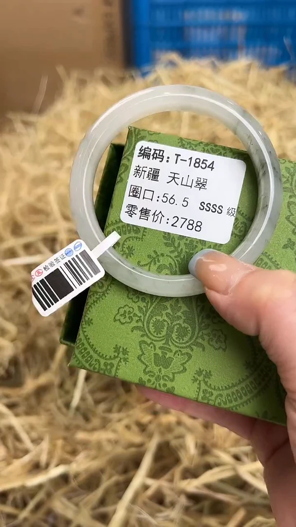 未镶嵌手镯石英质玉T-1854