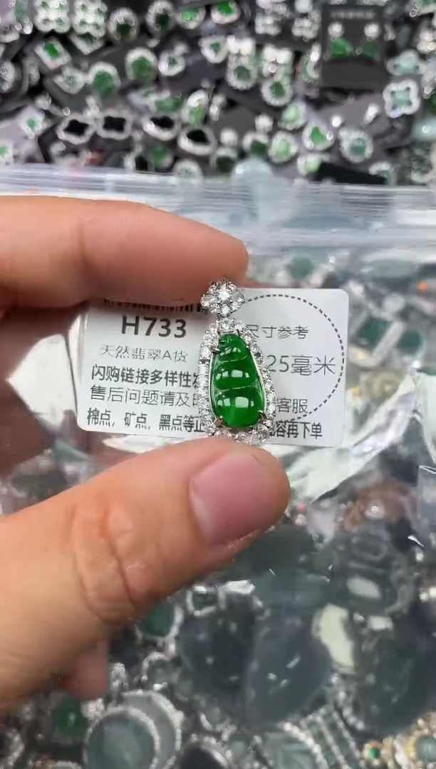 翡翠未镶嵌颈饰H733吊坠