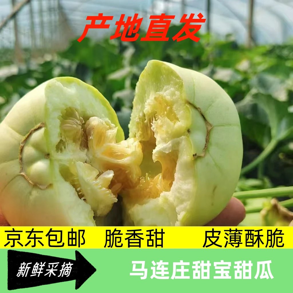 【京东包邮到家】新鲜头茬马连庄甜瓜新鲜采摘