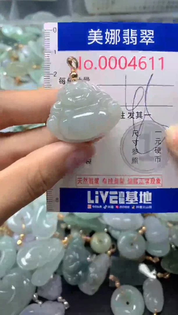 颈饰未镶嵌翡翠4611