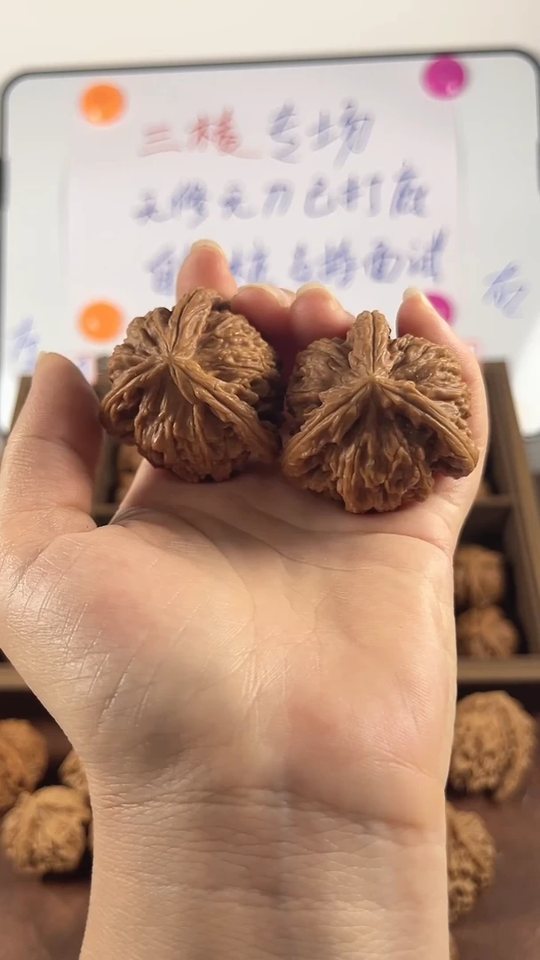文玩核桃把件42三棱白狮子