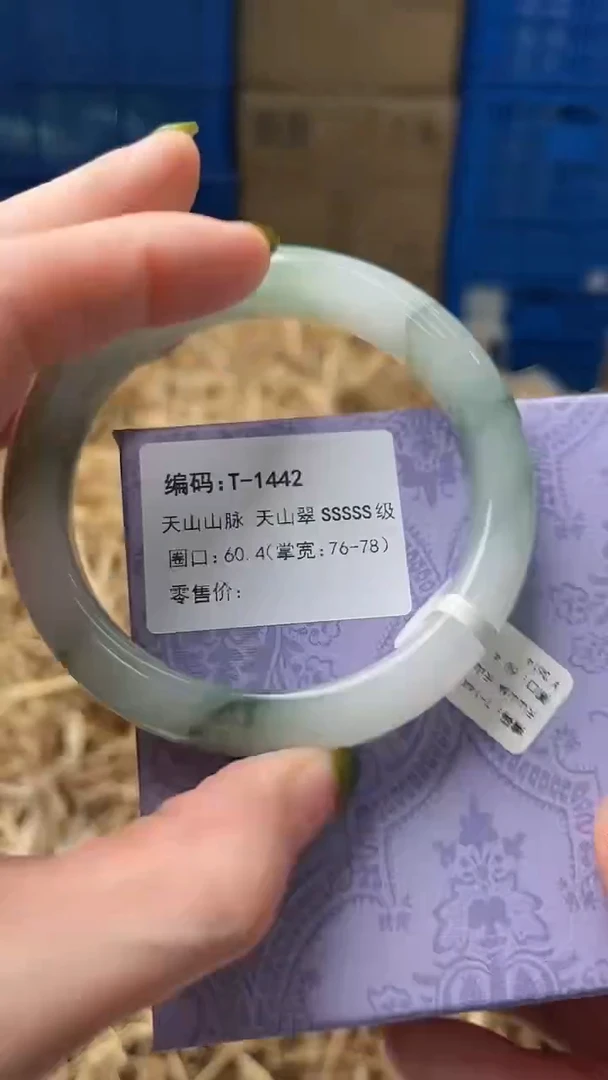 未镶嵌手镯石英质玉T1442