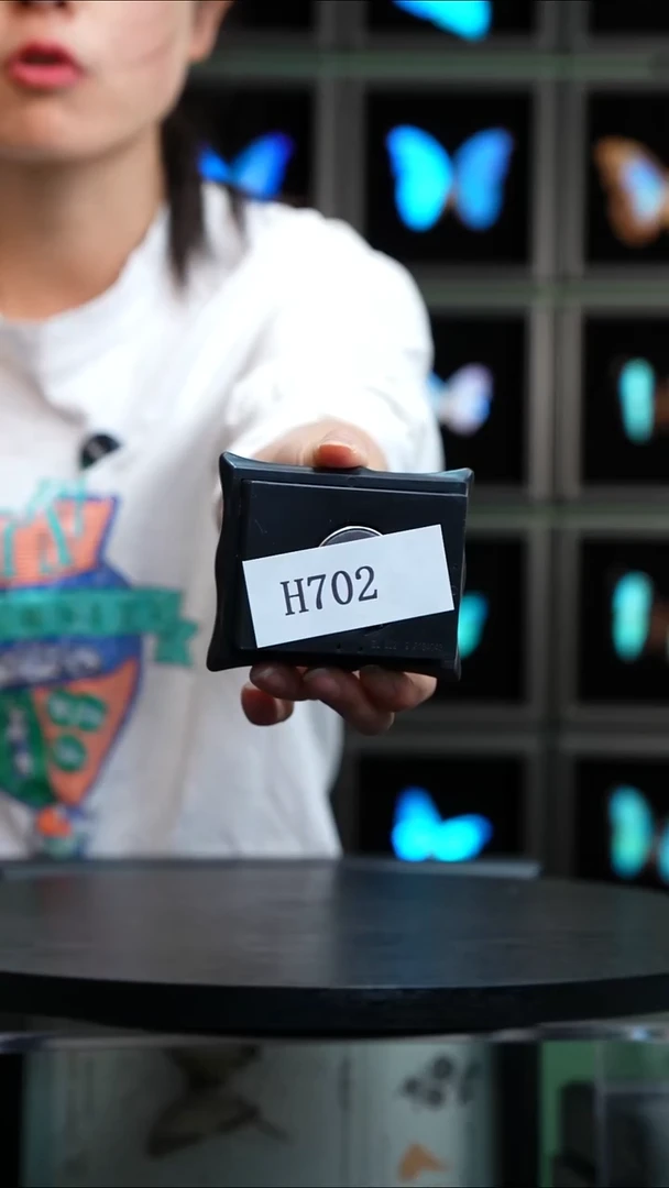 微瑕蝴蝶标本摆件一口价H702