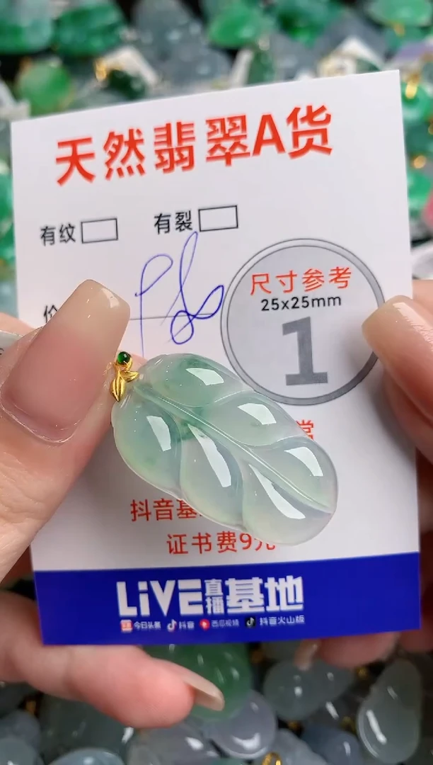 翡翠18K金镶嵌颈饰0146662582