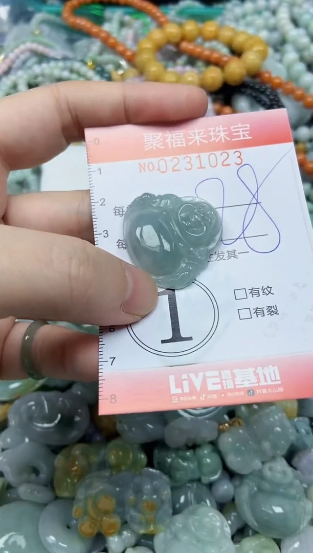 颈饰未镶嵌翡翠闪购0231023