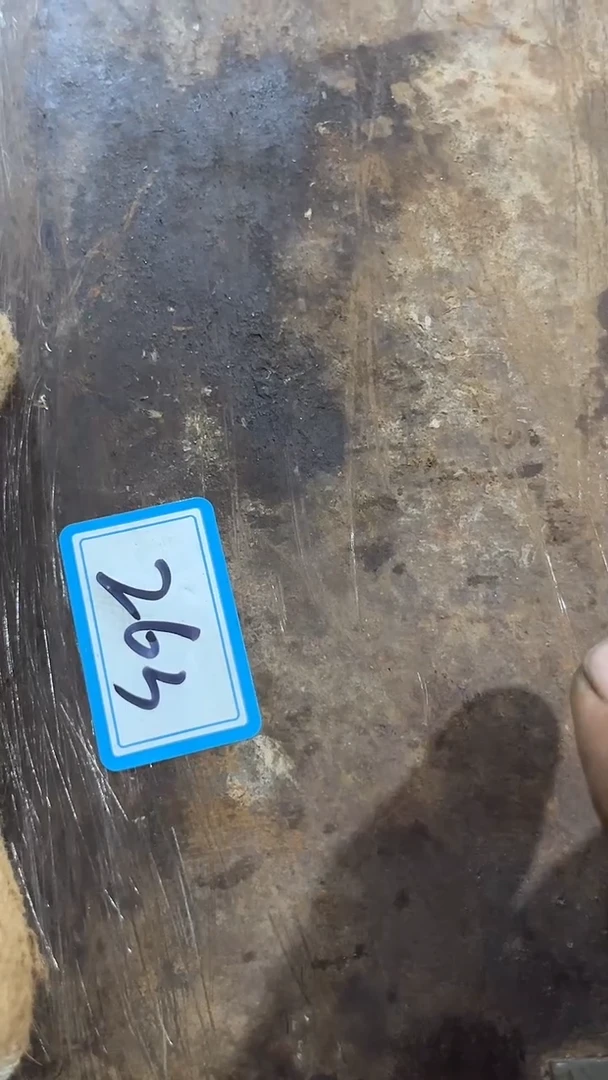 艳**照隆江直播新人带货