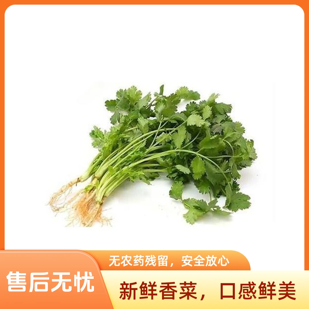 50g香菜一份