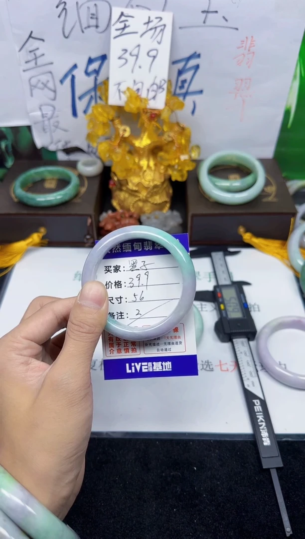 未镶嵌手镯翡翠黑*2