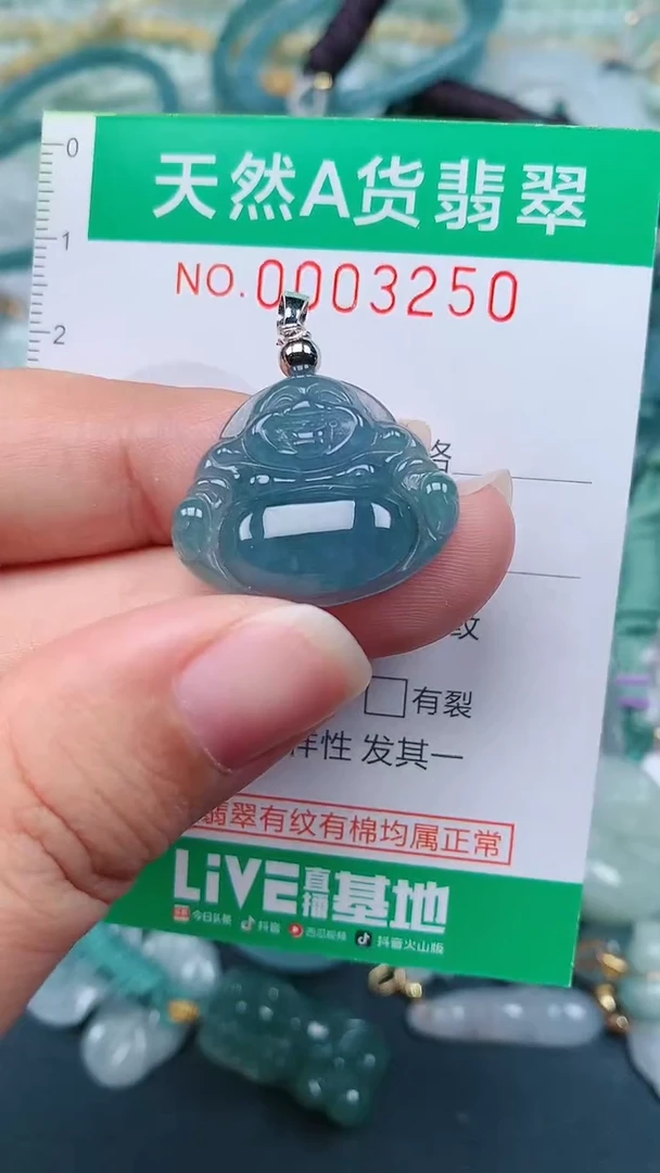 颈饰未镶嵌翡翠.0003250