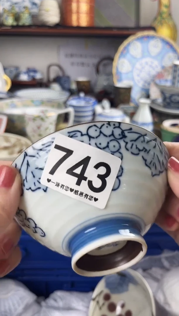 瓷片743............