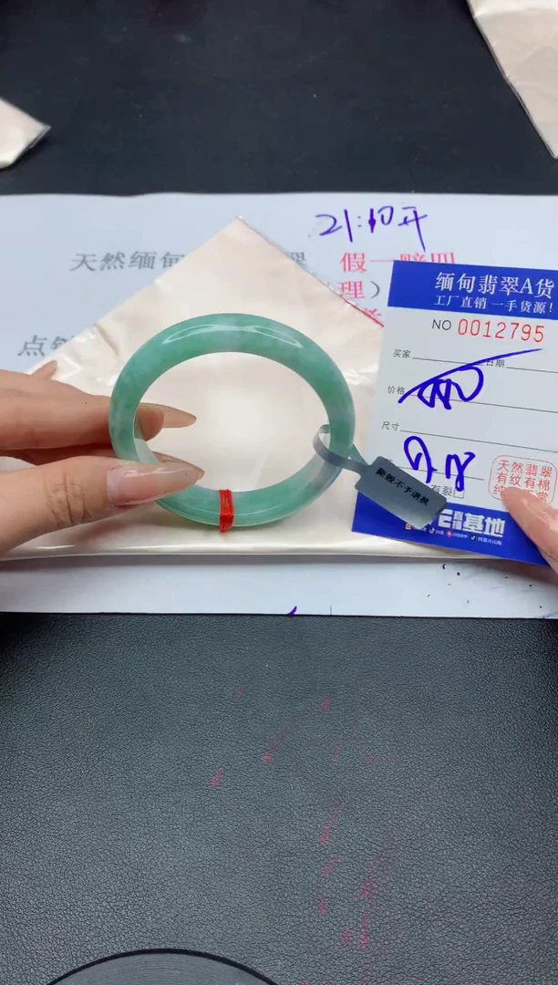 未镶嵌手镯翡翠95