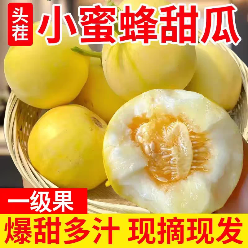 头茬山东沂蒙小蜜蜂香瓜甜瓜(坏果包赔)脆甜多汁当季水果WZ