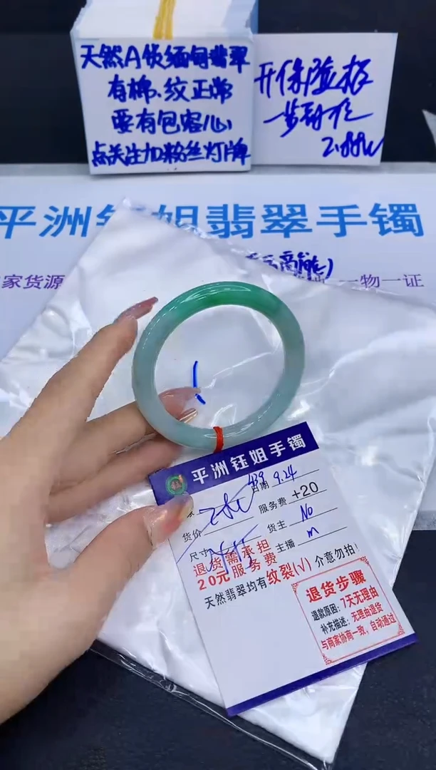 未镶嵌手镯翡翠11111