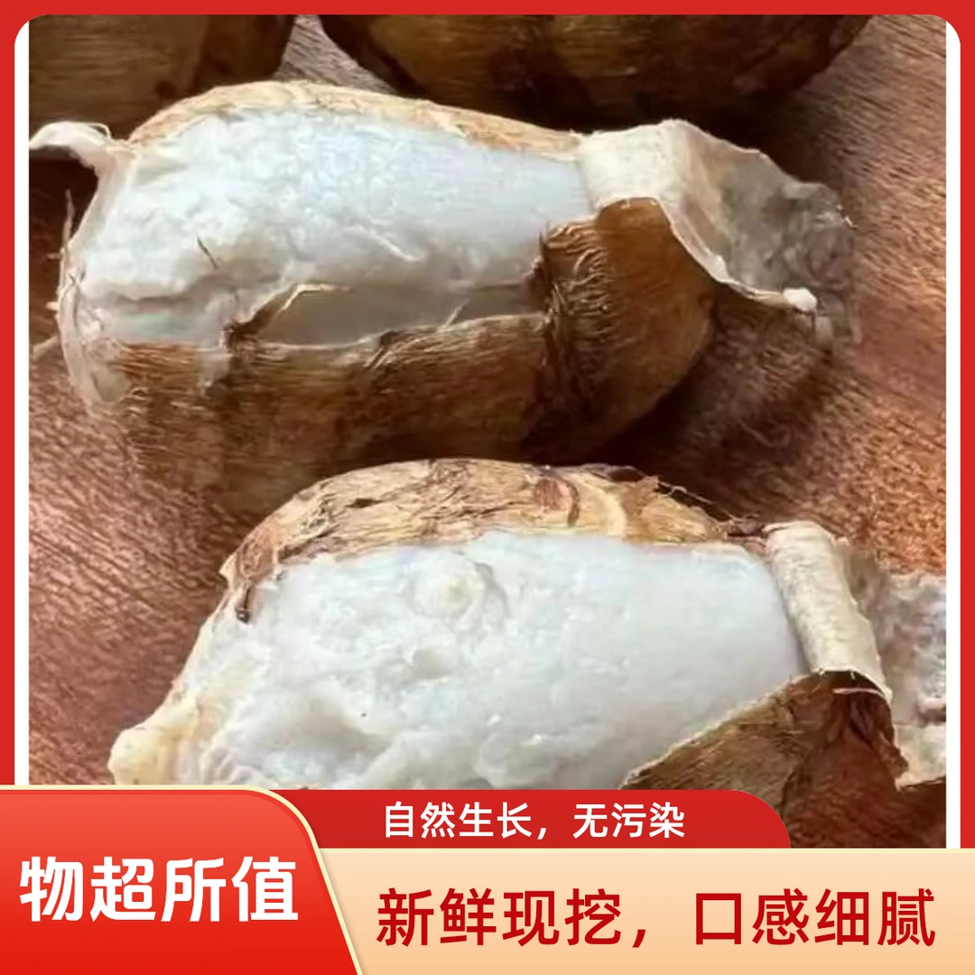 江西赣南新鲜小芋头现挖牛奶毛芋头软糯粉香芋芋仔芋艿蔬菜