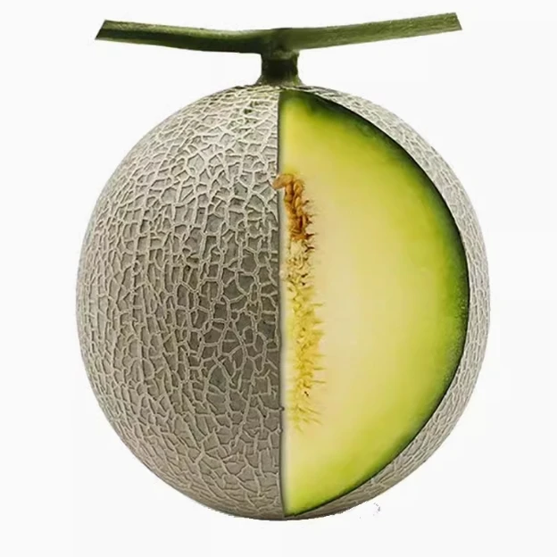 山东 网纹蜜瓜 2只（约7斤）