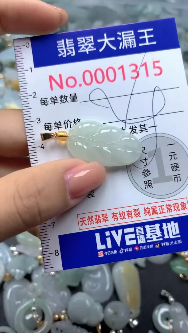 颈饰未镶嵌翡翠1315