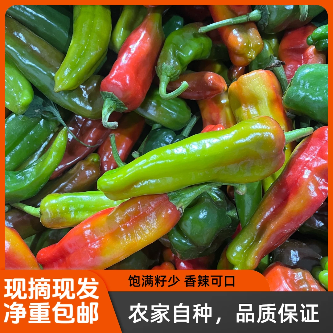 新鲜彩色辣椒1斤