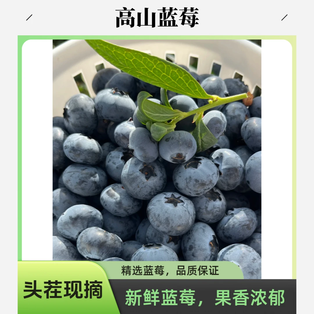 【次日达】1盒云南高山花香蓝莓 15mm（125g/盒）蓝莓同城送云南蓝莓云南省玉溪市
