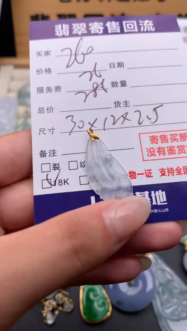 翡翠18K金镶嵌颈饰10135109