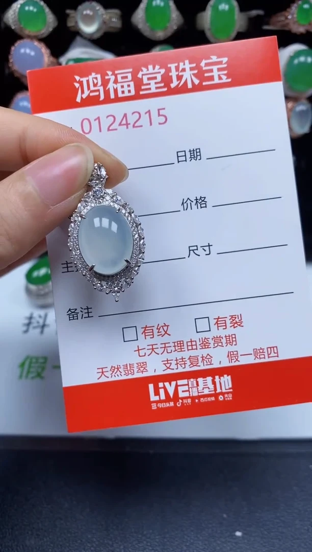 颈饰银S925镶嵌翡翠4215
