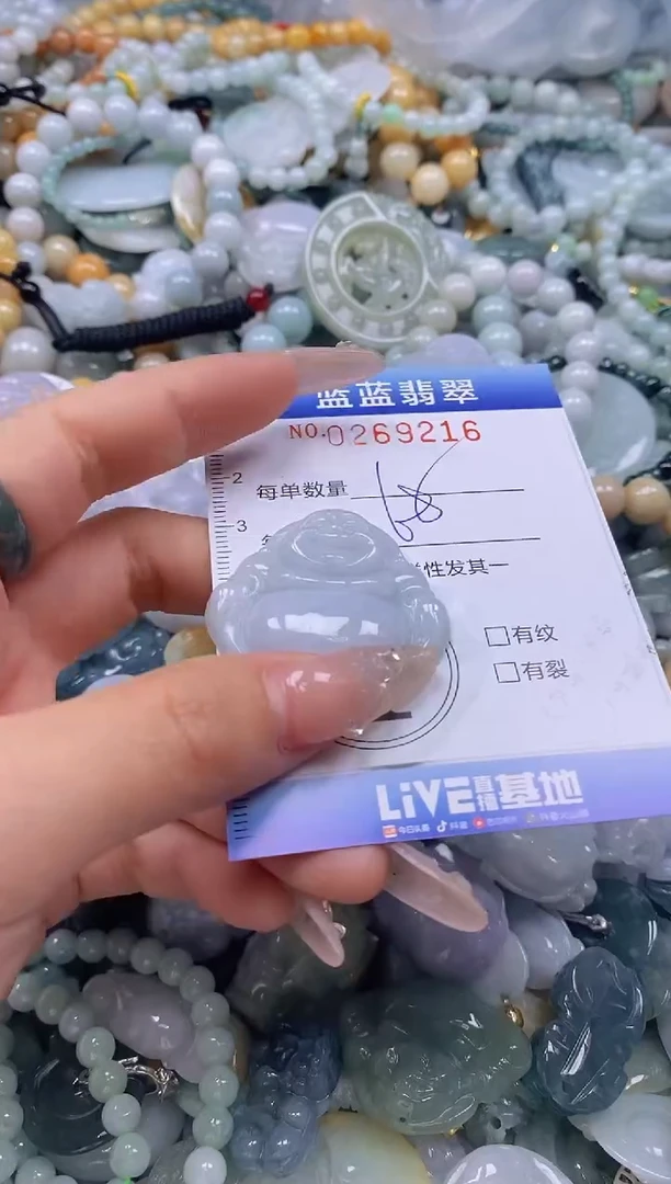 翡翠未镶嵌颈饰闪购0269216