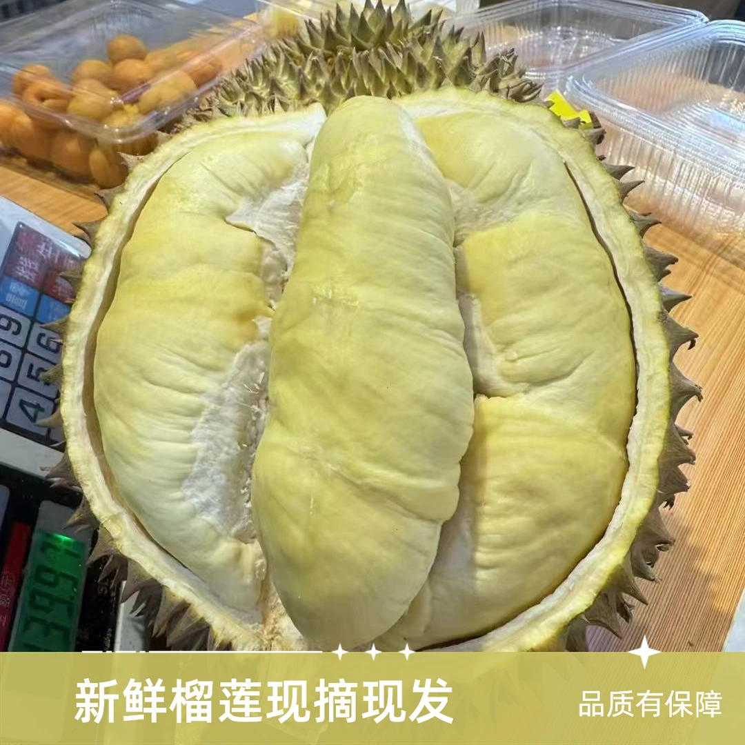 金枕干包新鲜榴莲树熟核小（1~10斤左右）金枕泰国