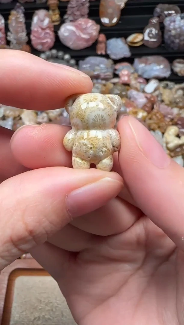 颈饰未镶嵌硅化珊瑚（珊瑚玉）030