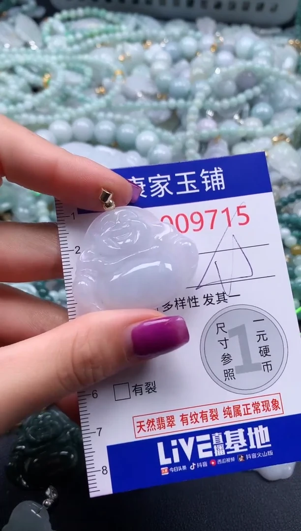 颈饰未镶嵌翡翠9715