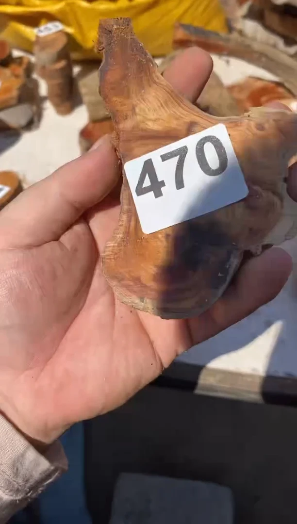 柏木（崖柏）太行陈化崖柏切片一块（津诚林）470