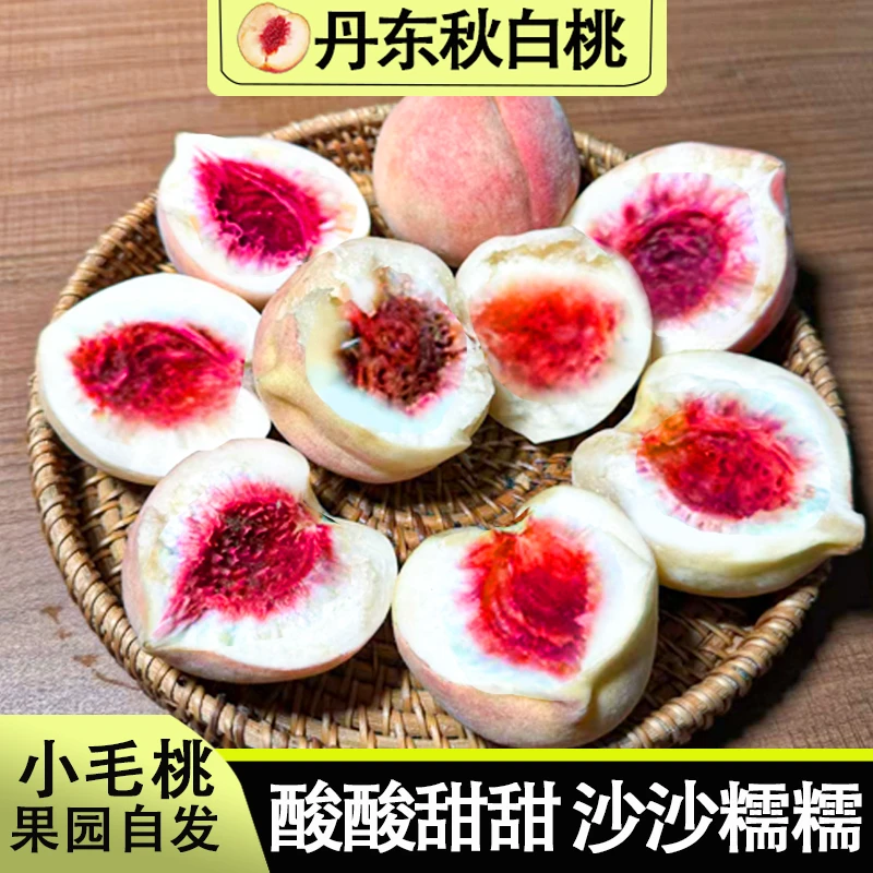 【放软酸酸甜甜】净重4.5斤丹东老树秋白桃 酸大于甜沙糯桃味十足Q