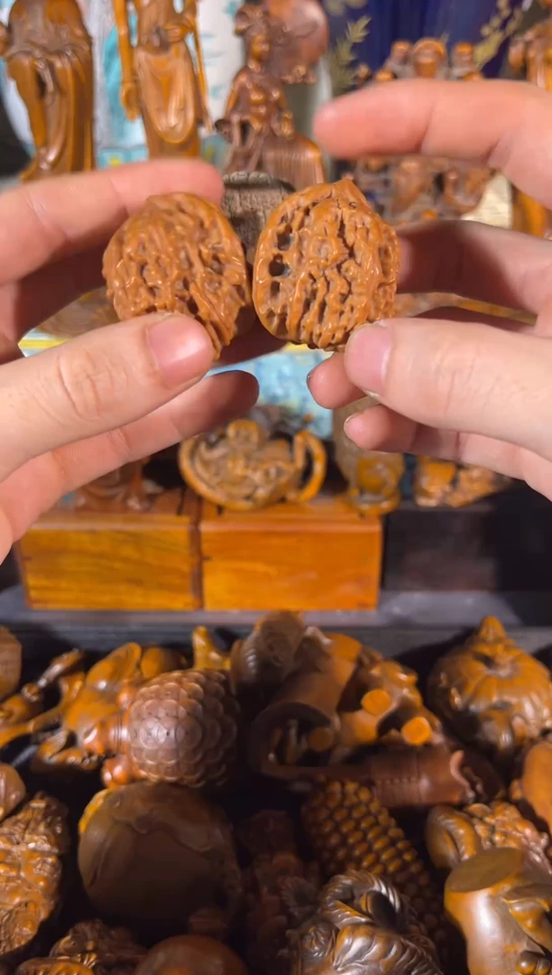 黄杨木11111111111111