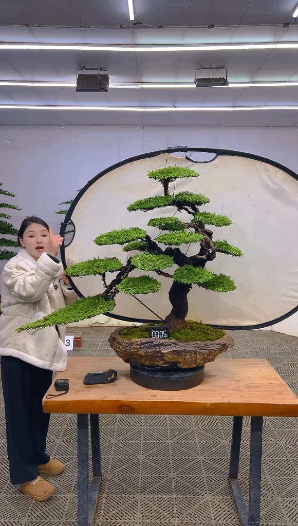 无花朵一物一拍一物一拍