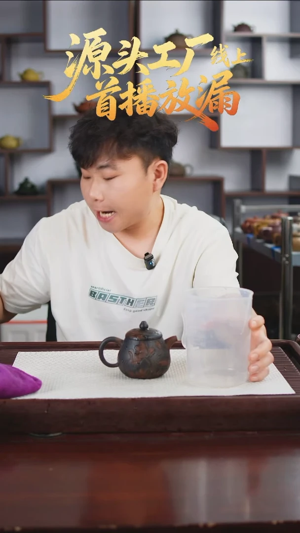 茶壶紫砂25646546852