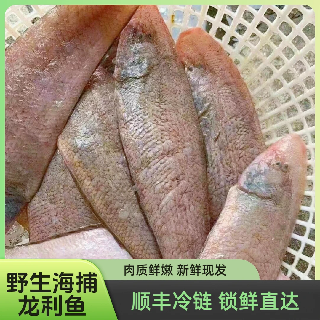 野生海捕龙利鱼 护眼鱼清蒸香煎新鲜海鱼