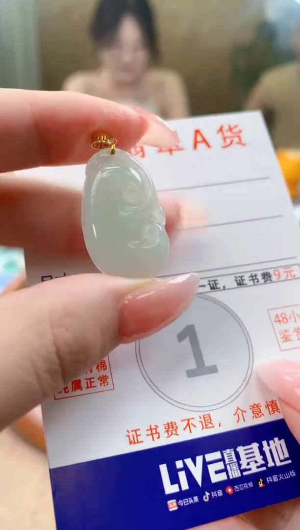 颈饰未镶嵌翡翠天然A货翡翠挂件