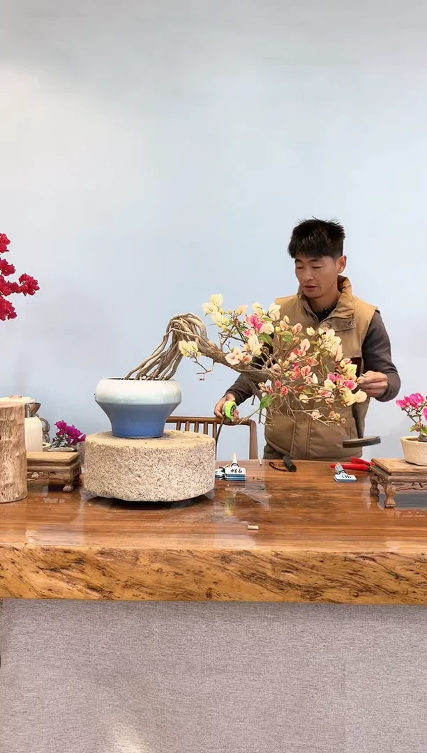 【闪购商品】aa912