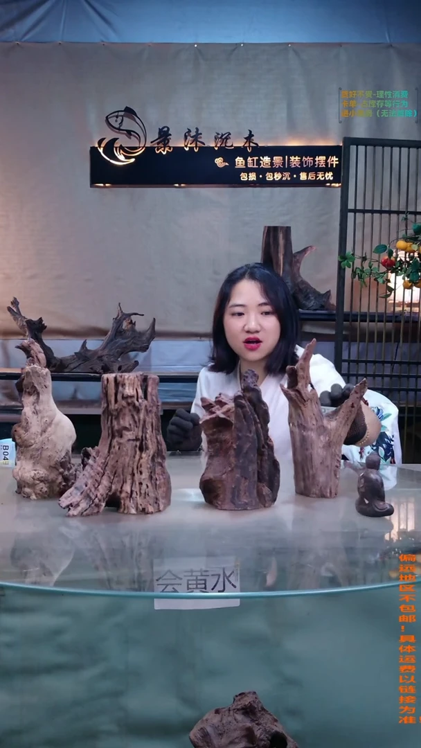 摆件景沐沉木B034景沐沉木B034