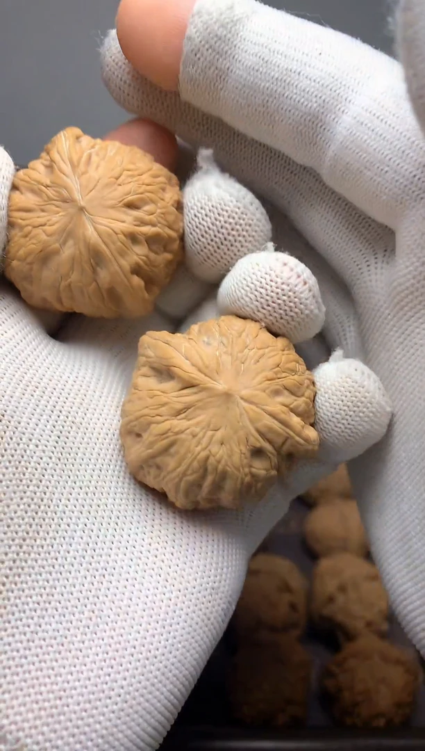 全场买一发二 下单送全品官帽 铁锤