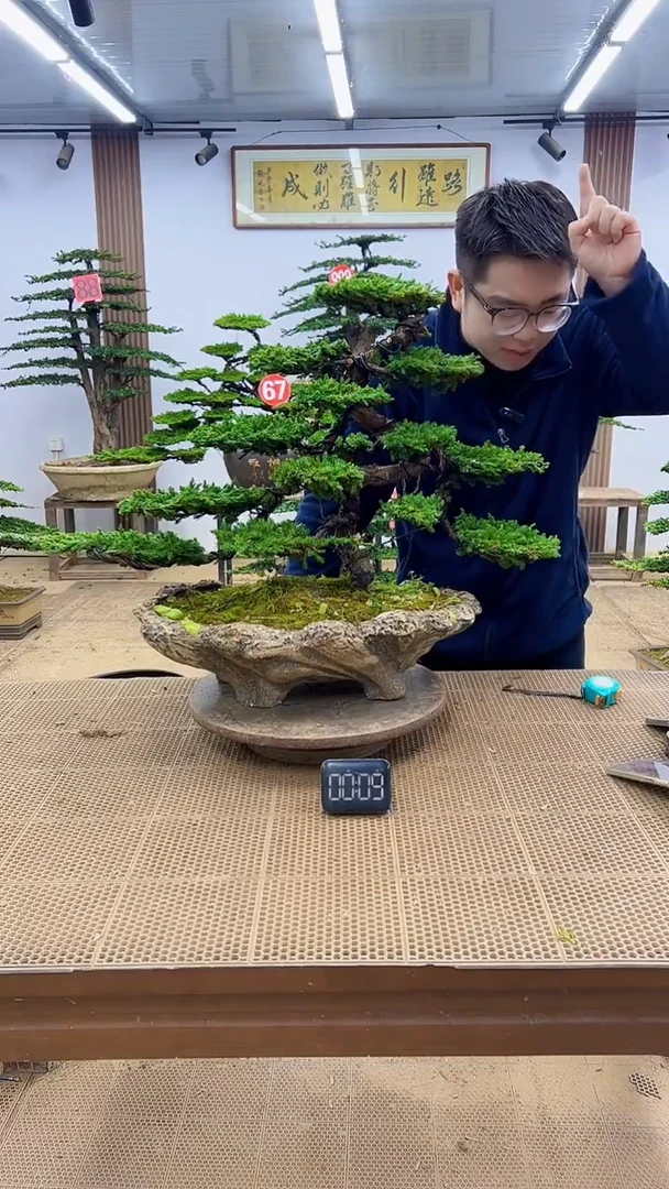 无花朵0000000000000