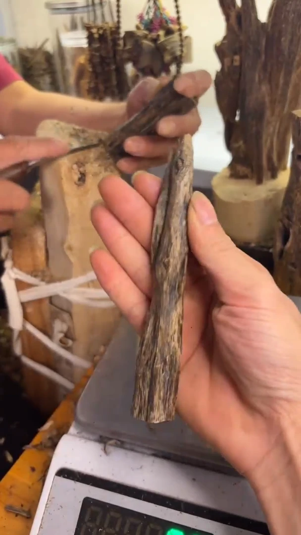 沉香沉香碎屑蓝宝石品种19克