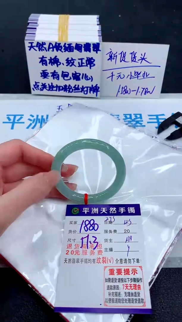 未镶嵌手镯翡翠11111111