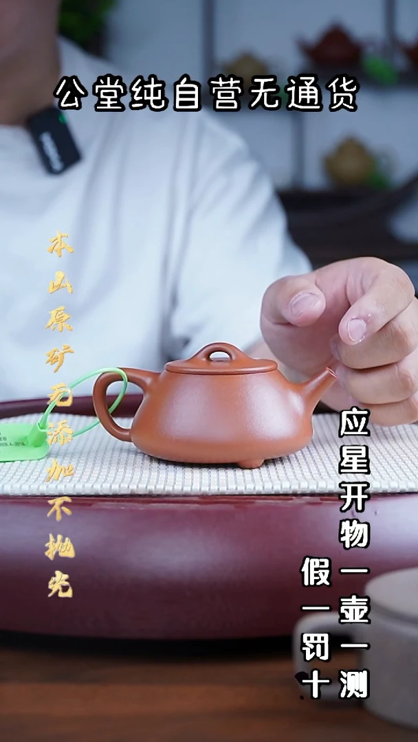 茶壶紫砂全砂朱泥 平盖石瓢 170cc