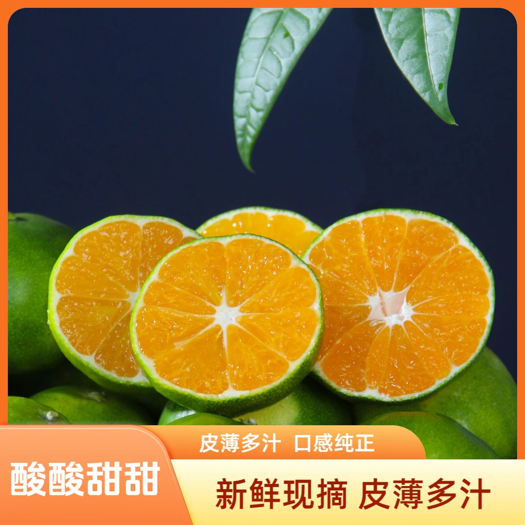 【1】大芬四号蜜桔现摘青皮蜜桔应季水果爆汁酸甜爽口无籽无核橘子