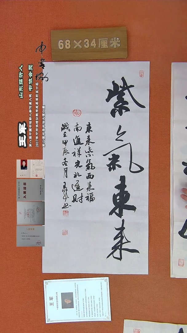 【闪购商品】书法490王军书法作品