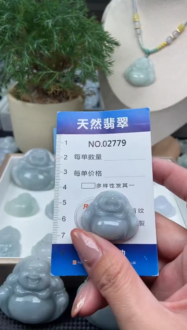 颈饰未镶嵌翡翠纯天然A货翡翠2779