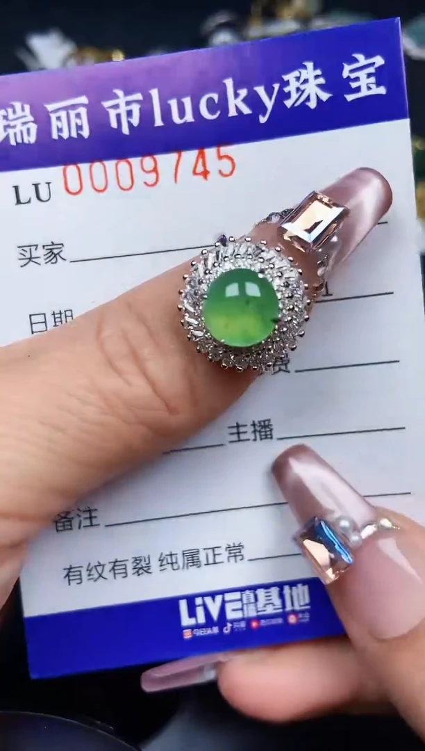 翡翠银S925镶嵌颈饰9745