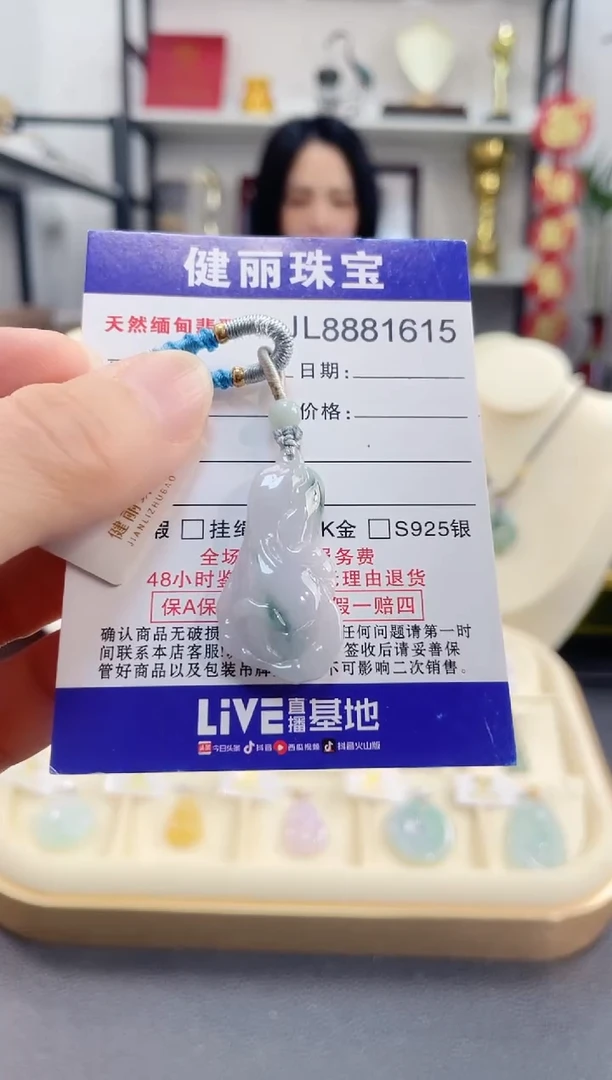 颈饰未镶嵌翡翠白菜(一物一证)