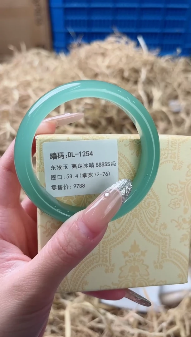 未镶嵌手镯石英质玉DL-1254