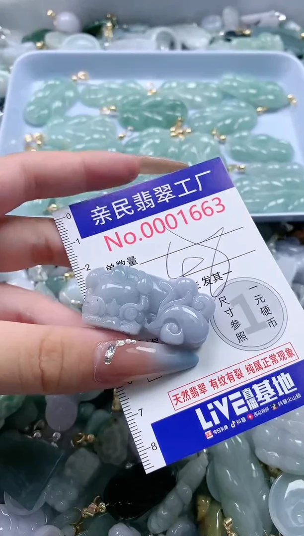 翡翠未镶嵌吊坠(不含链)1663